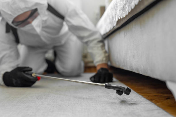 Professional Termite Control technician working in Summit, MS