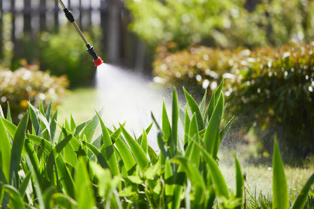 24/7 Emergency Termite Control experts in Summit, MS
